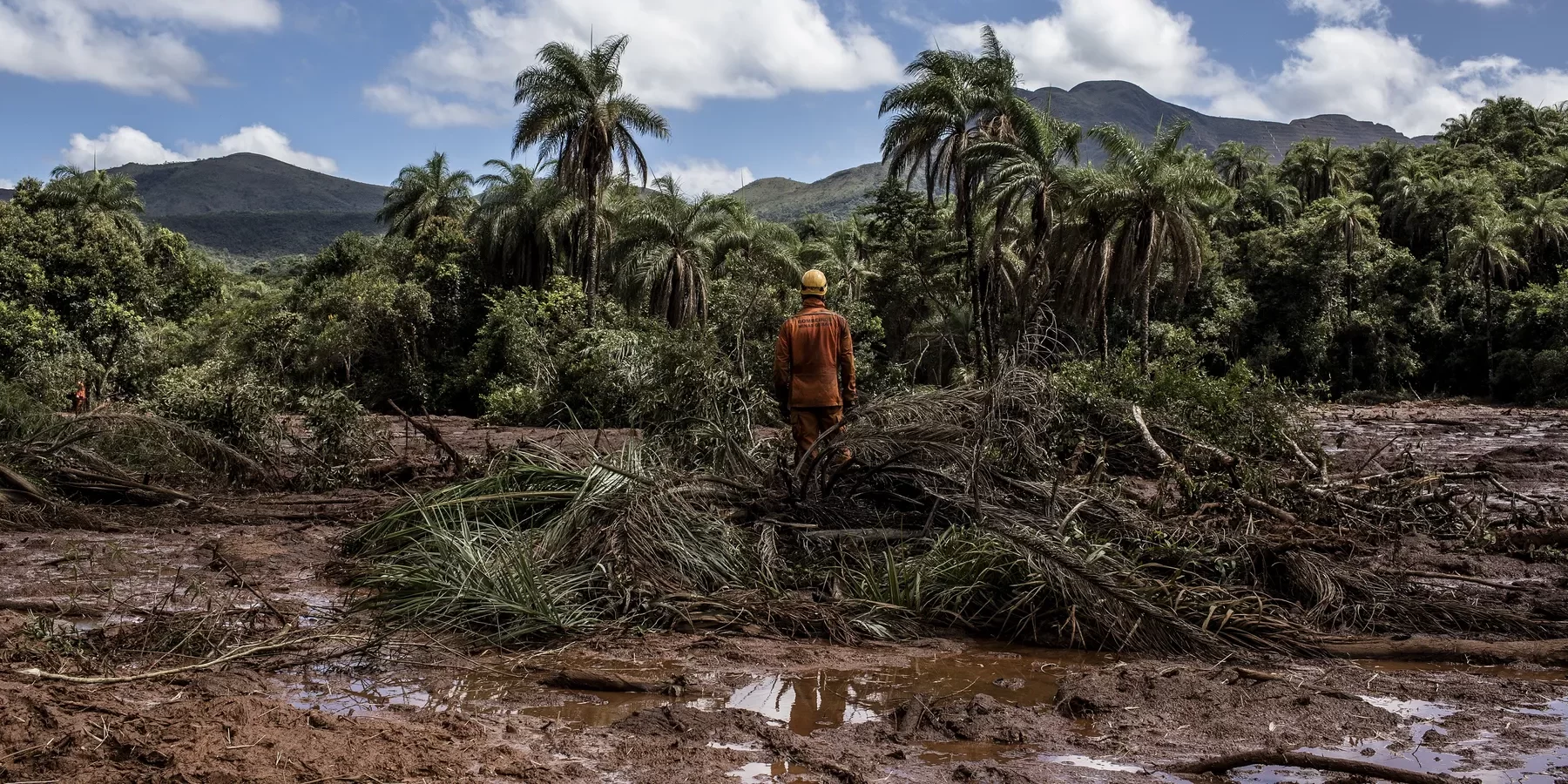 Lele3.2e16d0ba.fill-2000×900-c50.format-webp